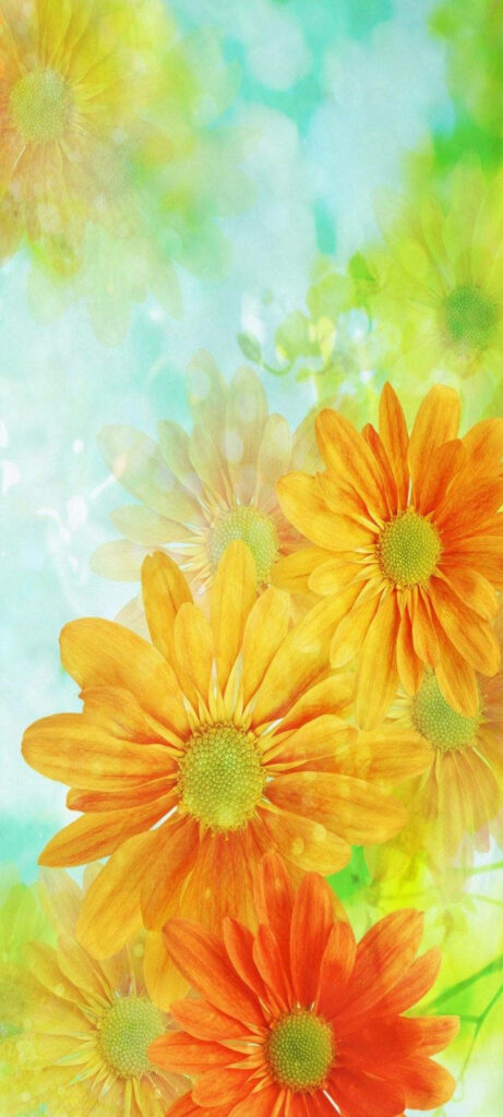 Bright Orange Flower Wallpaper: Cheerful Pastel Background Design