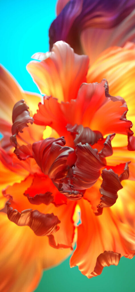 Vibrant Orange Flower Wallpaper on Bright Turquoise Background