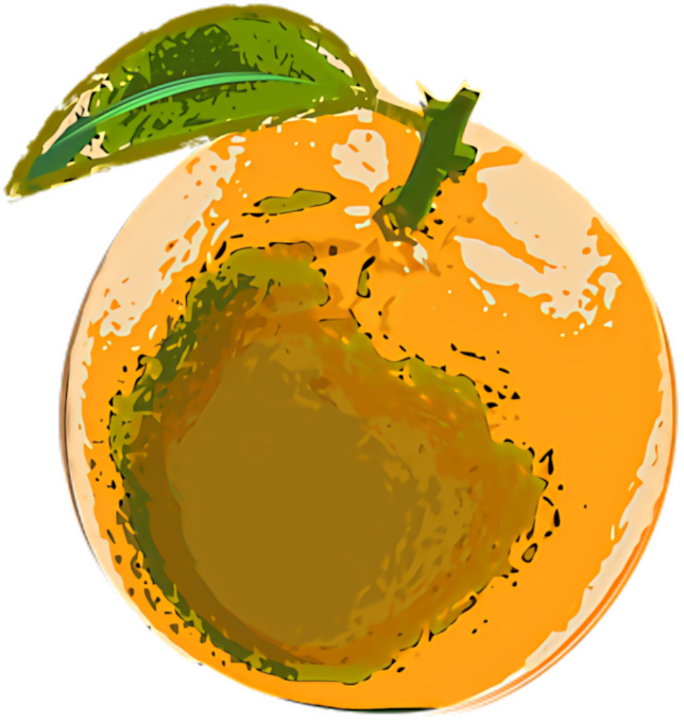 Vibrant Orange Fruit Vector Art Wallpaper with Green Leaf Contrast