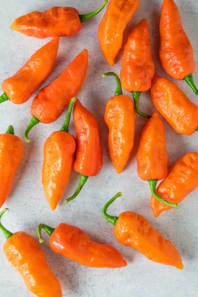 Vibrant orange ghost peppers with glossy wrinkled skin and green stems on neutral background wallpaper