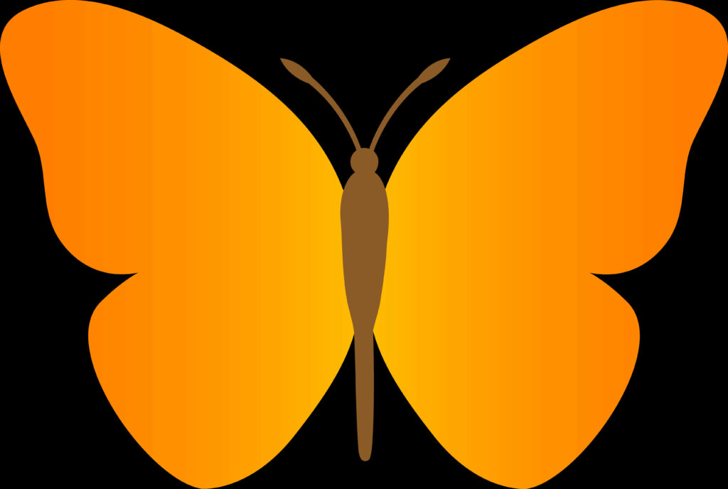 Vibrant Orange Gradient Butterfly Wallpaper with Minimalist Design