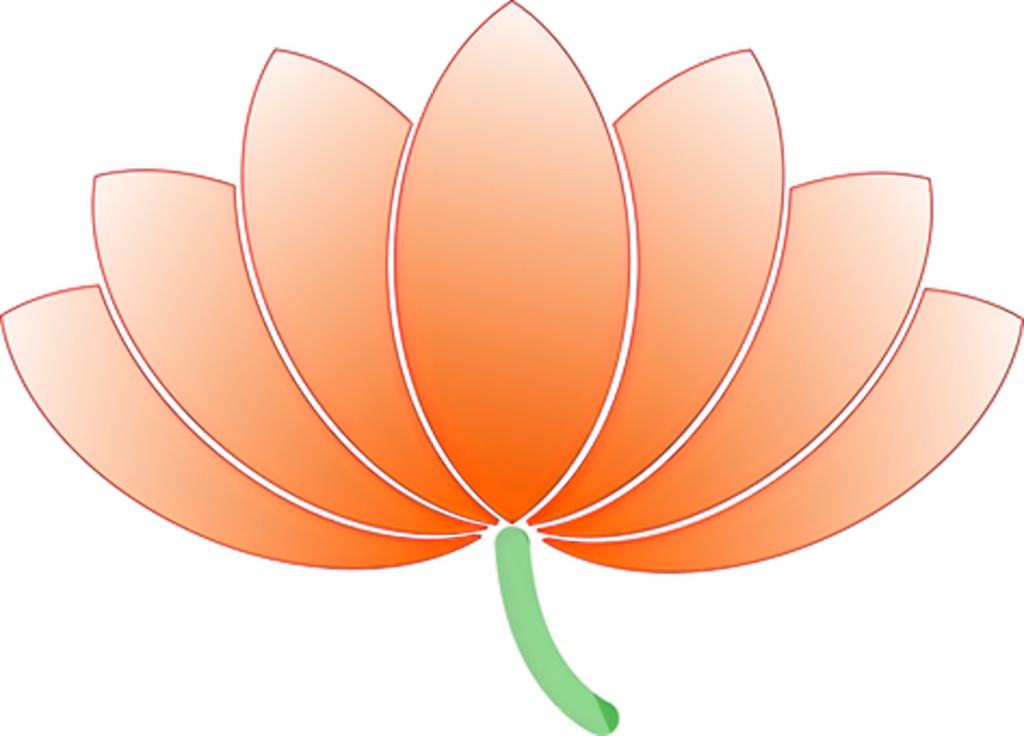 Vibrant Orange Lotus Flower Wallpaper with Transparent Background