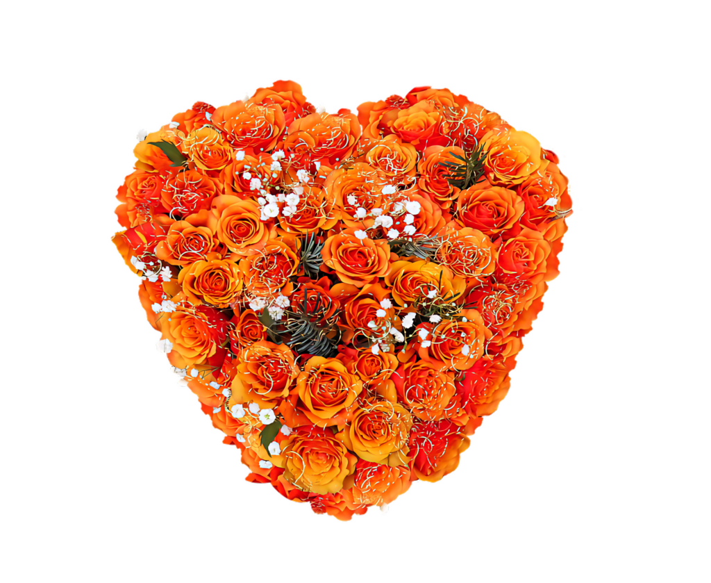 Vibrant Heart-Shaped Orange Rose Wallpaper with White Accents