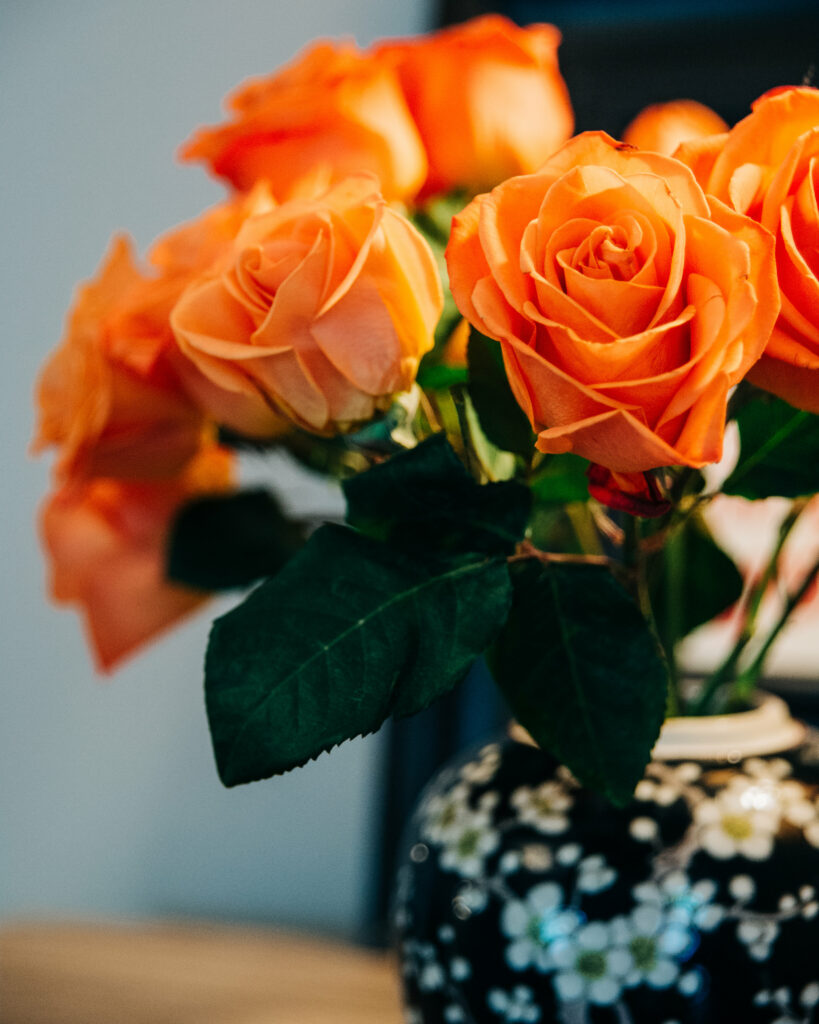 Vibrant Orange Roses Wallpaper: Elegant Floral Beauty Background