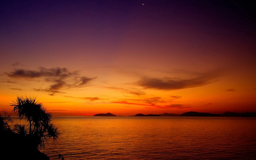 Vibrant orange sunset over calm water with silhouetted bushes and distant islands wallpaper background