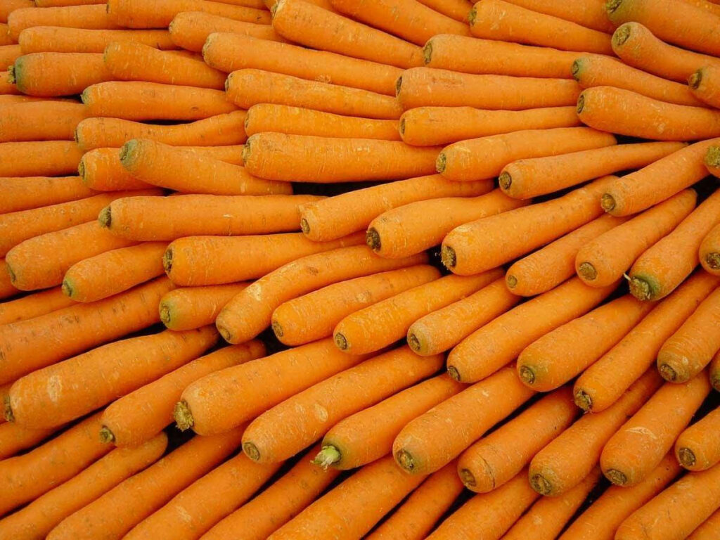 Vibrant Orange Carrot Roots Wallpaper: Fresh, Natural Texture Background