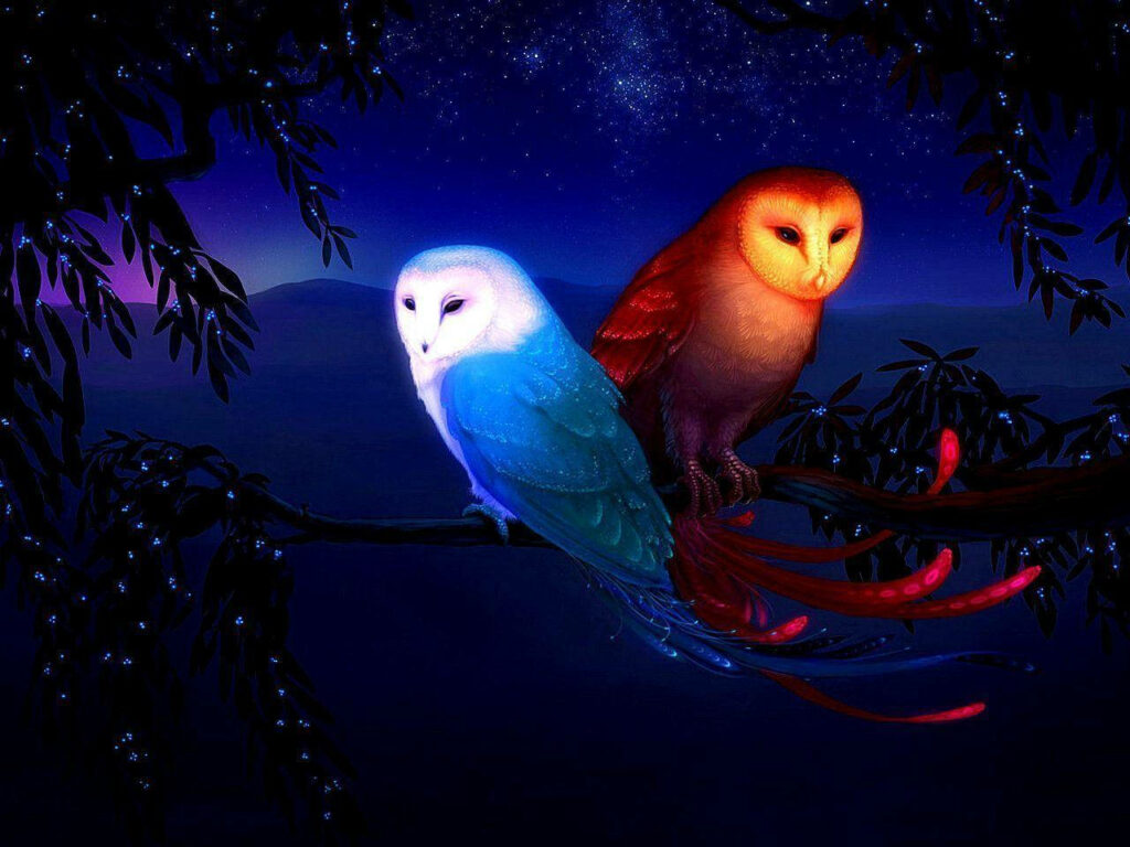 Vibrant Red & Blue Owl Wallpaper: Mystical Midnight Background