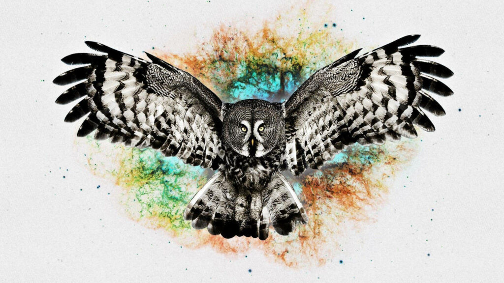 Vibrant Abstract Owl in Flight - Colorful Artistic Background Wallpaper
