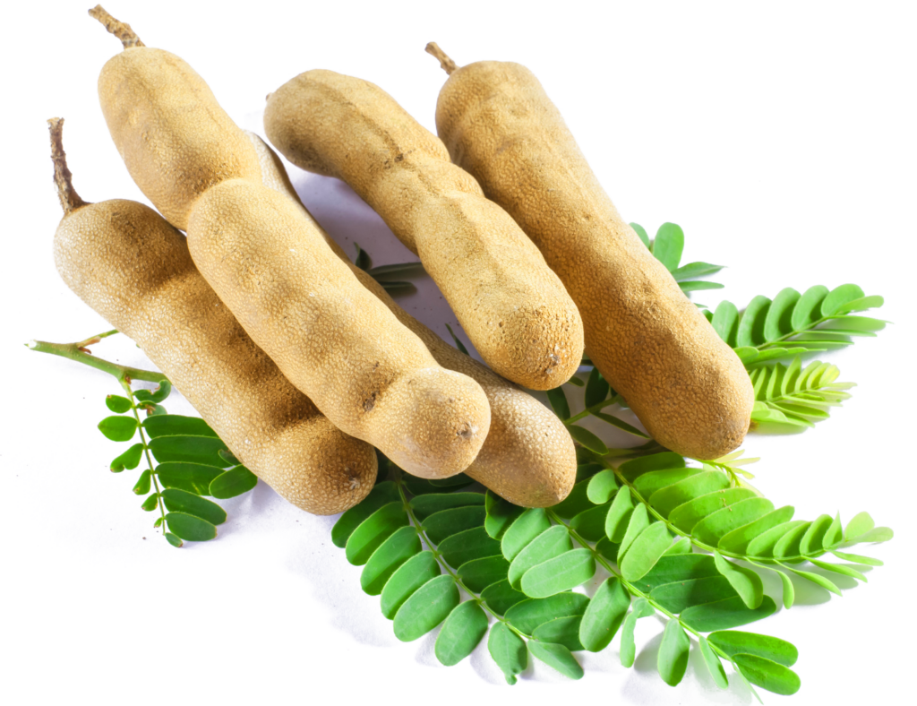 Vibrant Tamarind Pods PNG Wallpaper with Lush Green Leaves