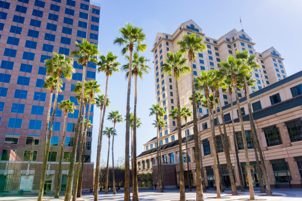 Vibrant Palm Tree Wallpaper: Modern Buildings & Clear Blue Sky