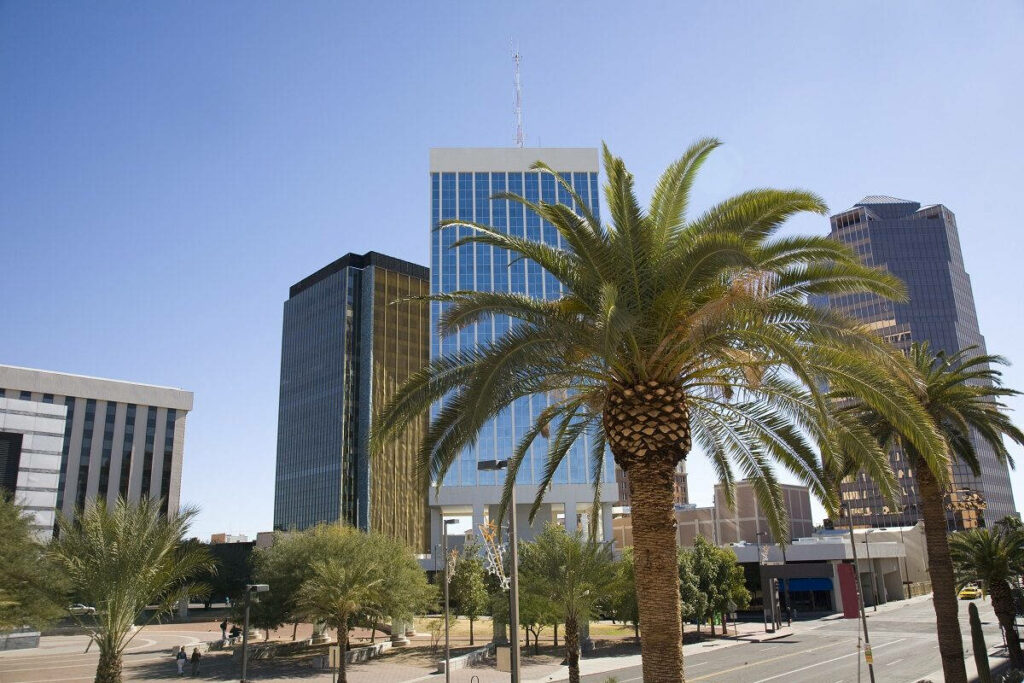 Vibrant Wallpaper: Tall Palm Trees & Skyscrapers in Tucson