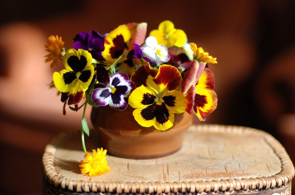 Vibrant Pansies in Ceramic Vase: Cheerful Floral Wallpaper