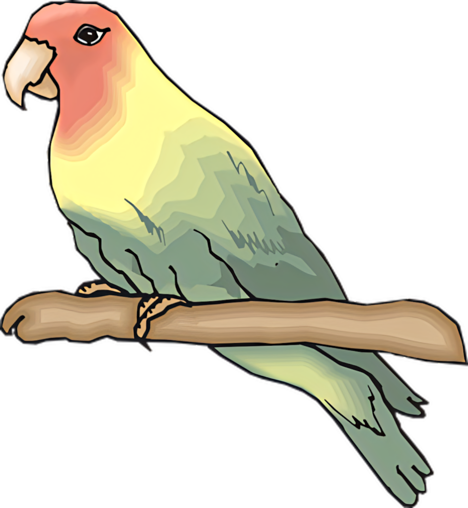Vibrant Parakeet Wallpaper: Colorful Nature Illustration for Bird Lovers