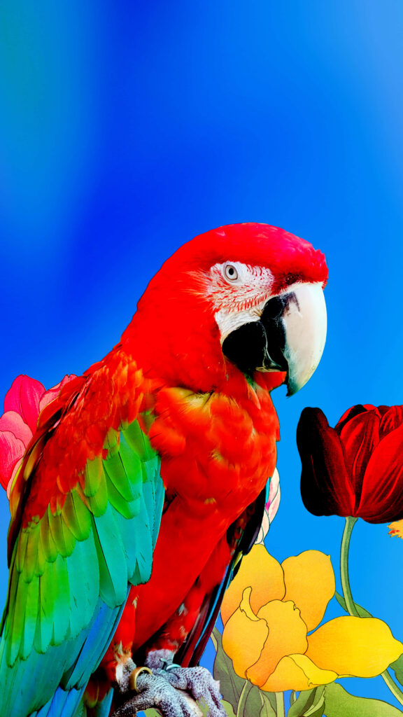 Vibrant Parrot Wallpaper: Colorful Floral Design on Blue Background