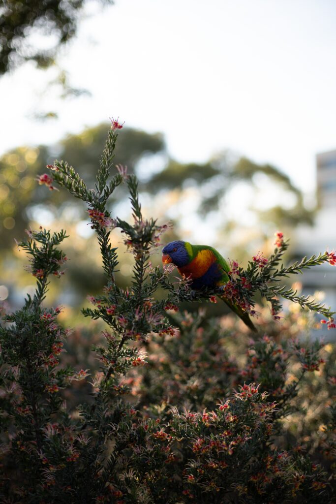 Vibrant Parrot Wallpaper: Bright Colors & Lush Greenery Background