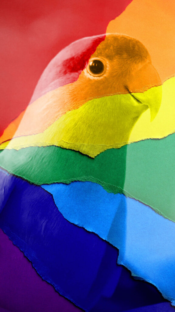 Colorful Parrot Wallpaper: Vibrant Feathers & Rainbow Gradient Background
