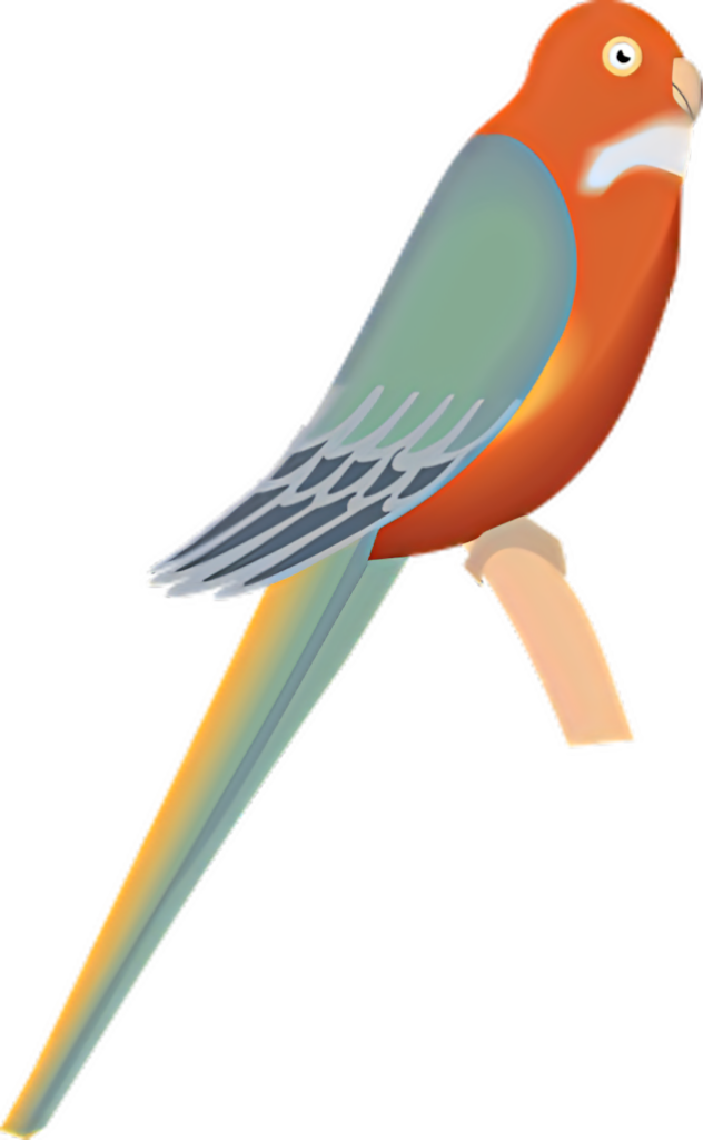 Vibrant Parrot Wallpaper: Colorful Bird Art for Stunning Backgrounds