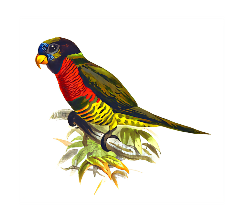Vibrant Tropical Parrot Wallpaper: Colorful Wildlife Illustration