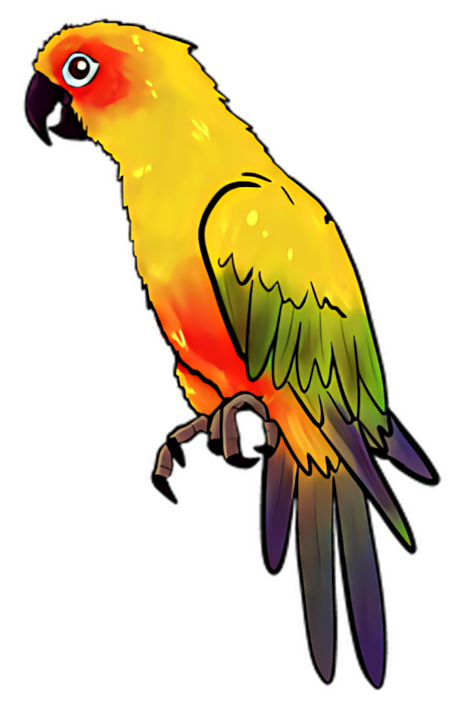 Vibrant PNG Wallpaper: Colorful Parrot Illustration on Transparent Background