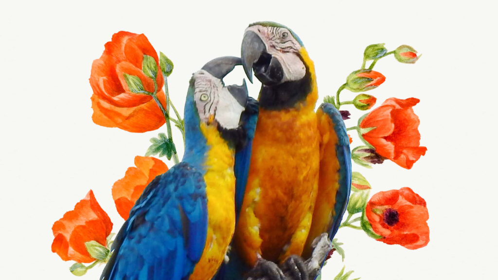 Vibrant Parrots Amidst Bright Red-Orange Flowers - Exotic Wallpaper