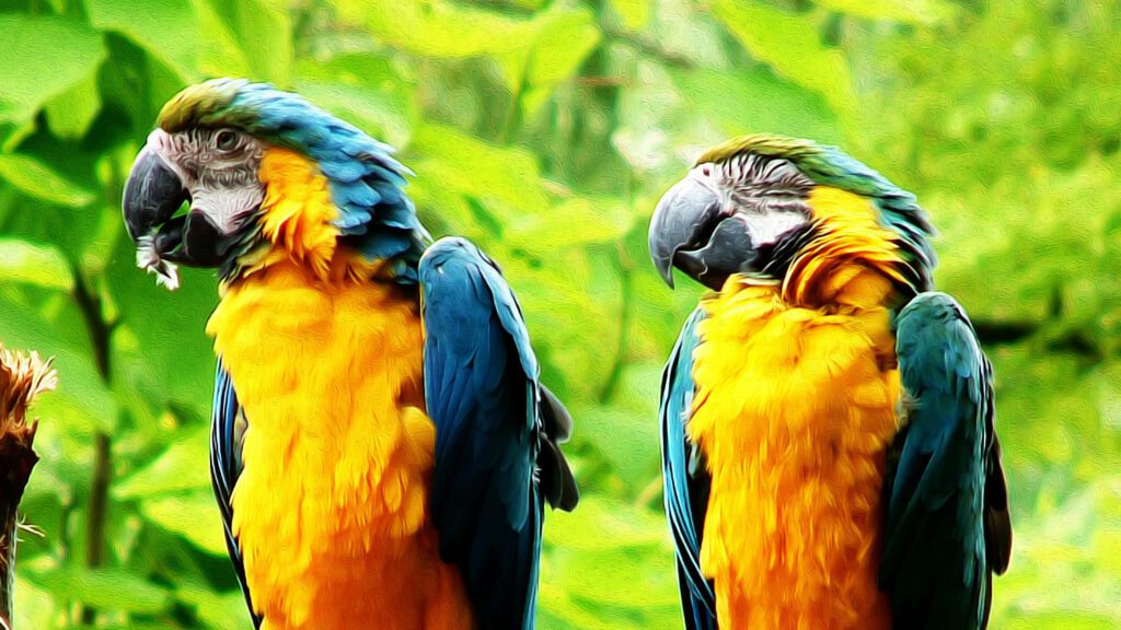 Vibrant Parrots with Blue & Yellow Plumage - Colorful Wallpaper Background