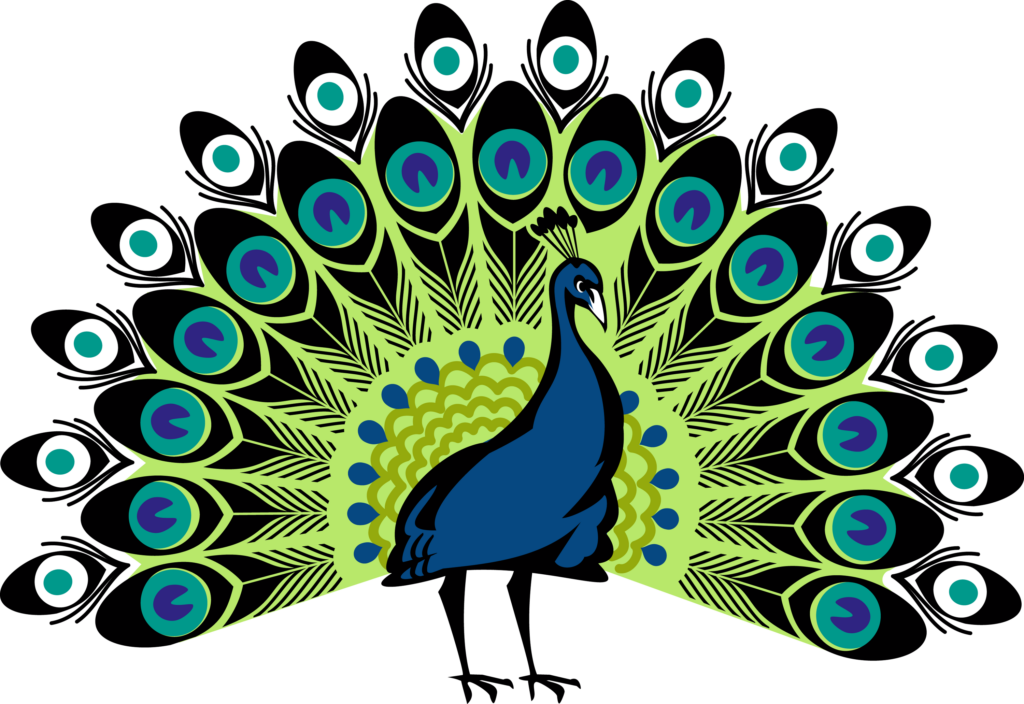 Vibrant Peacock Wallpaper: Bold Feathers on Dark Background