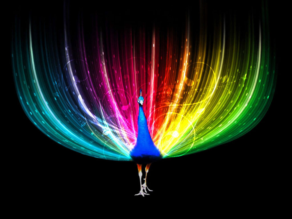 Vibrant Peacock Wallpaper: Colorful Feathers in Lush Forest Background