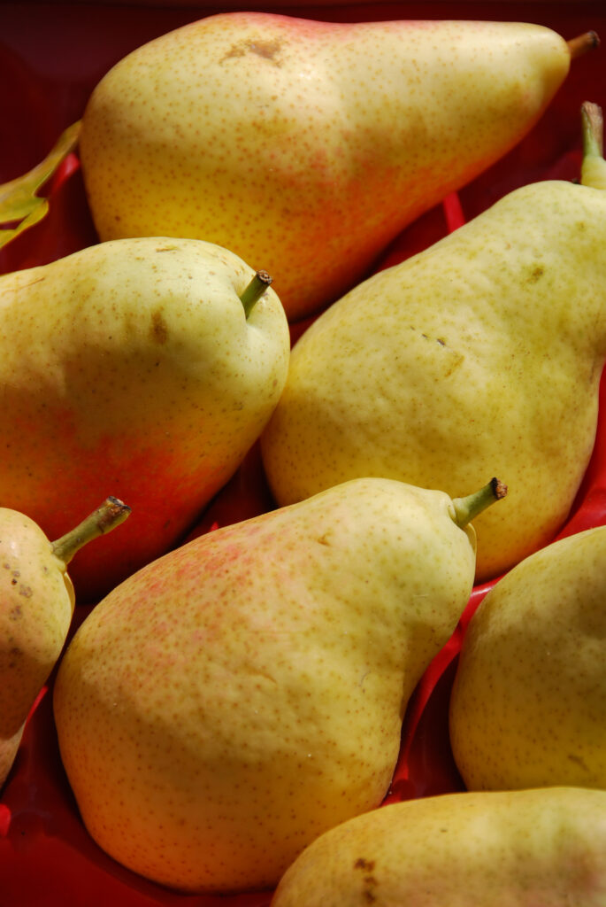 Vibrant Pear Wallpaper: Fresh Yellow & Red Hues for Your Background