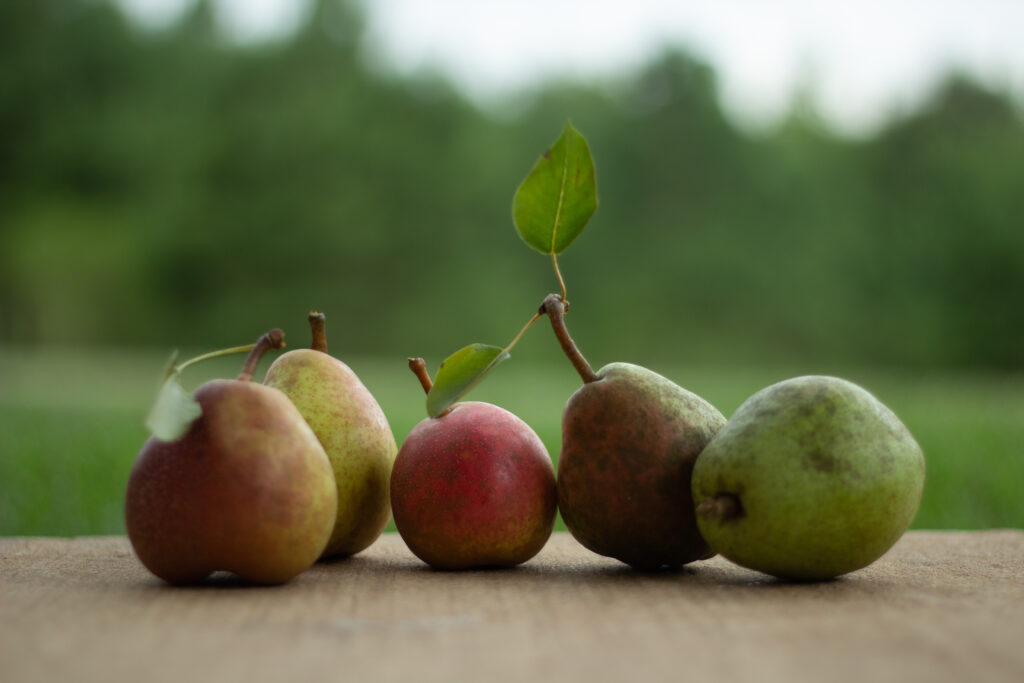 Vibrant Pears Wallpaper with Green Leaves on Wood - Natural Serenity