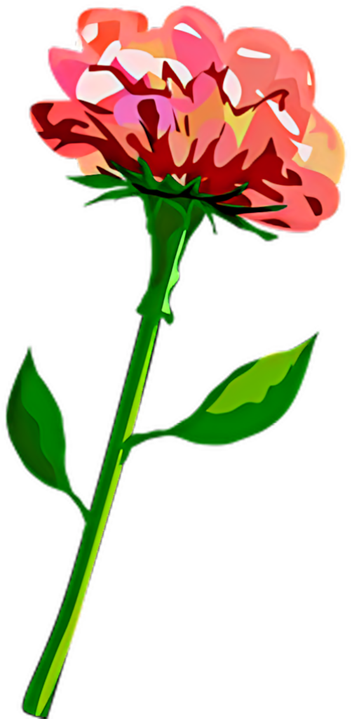 Vibrant Peony Vector Art Wallpaper: Bold Flower Design Background