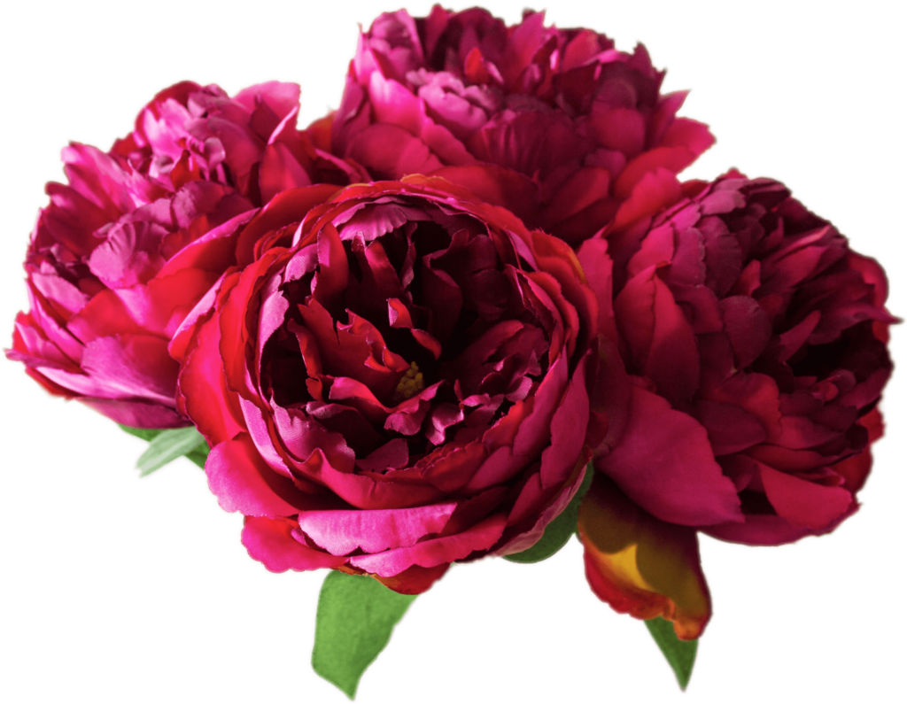 Vibrant Peony Bouquet Wallpaper in Deep Pink & Red Hues