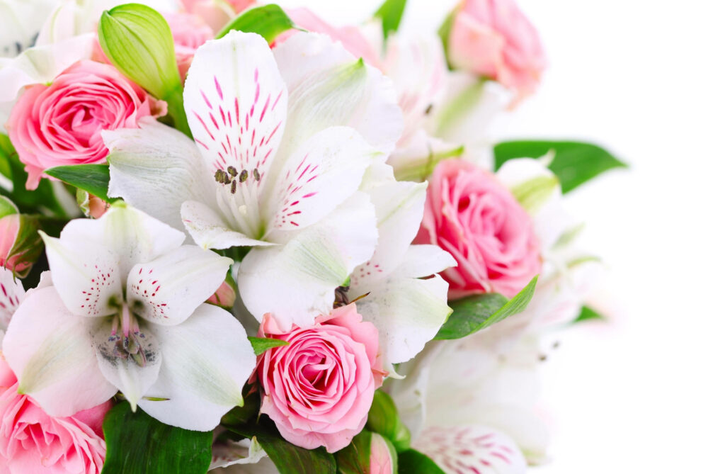 Vibrant Bouquet of Peruvian Lilies & Pink Roses - Elegant Wallpaper