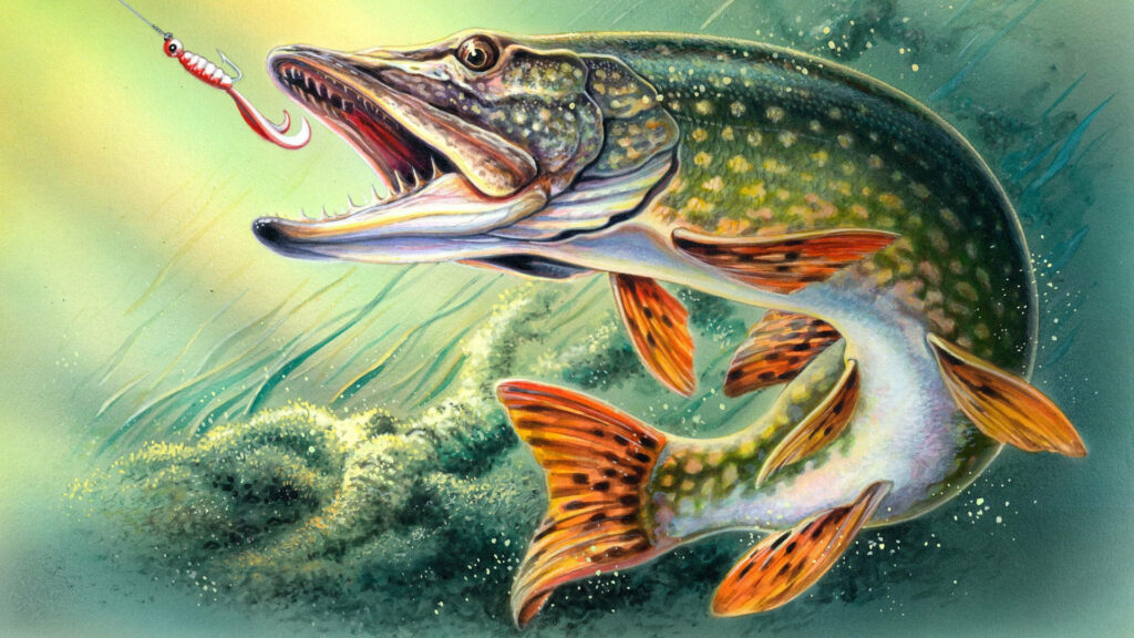 Vibrant Pike Fish Underwater Illustration – Thrilling Fishing Art Wallpaper