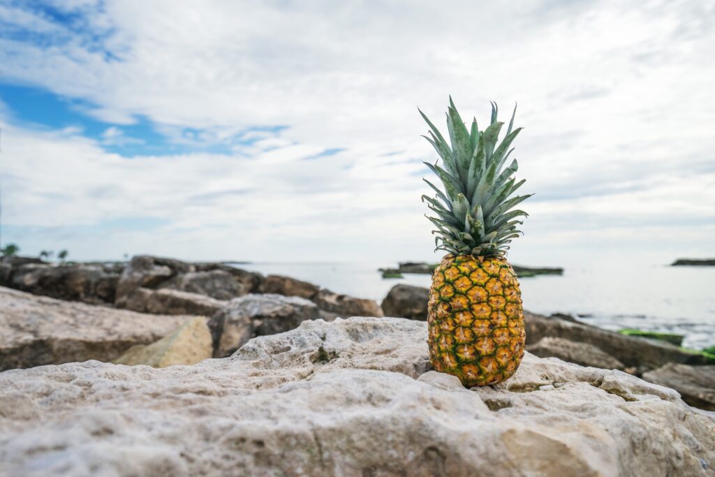 Vibrant Pineapple on Rocks: Serene Beach Wallpaper Background