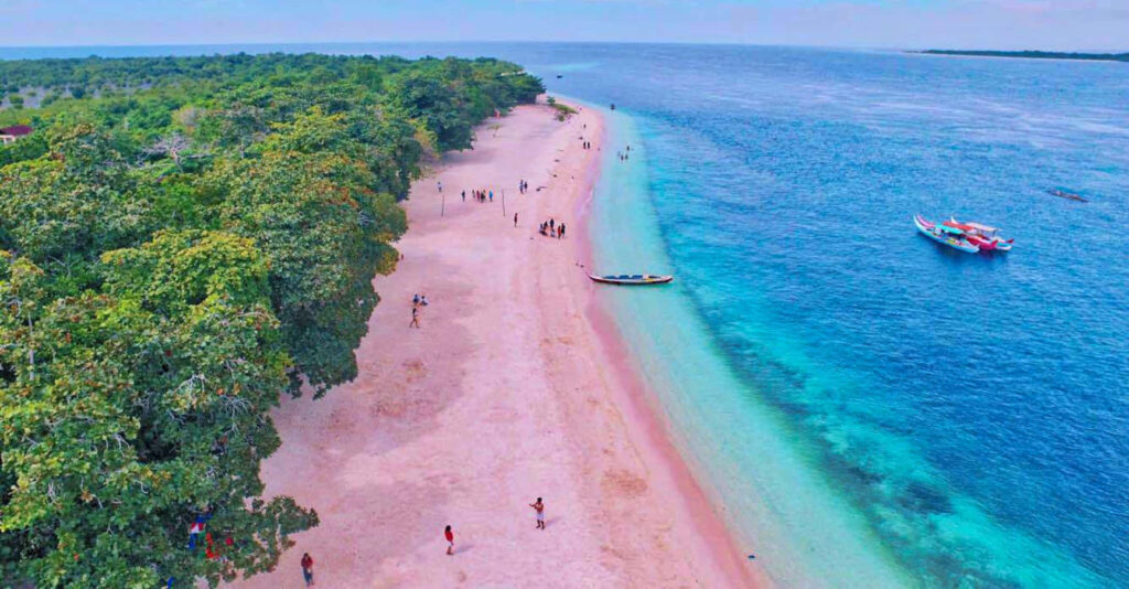 Vibrant Pink Beach Wallpaper: Lush Greenery & Clear Blue Waters