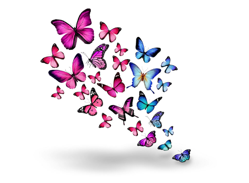 Vibrant Butterfly Wallpaper: Pink & Blue Wings Background