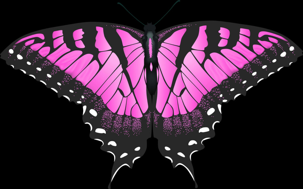 Vibrant Pink Butterfly Illustration: Intricate Wing Patterns Wallpaper