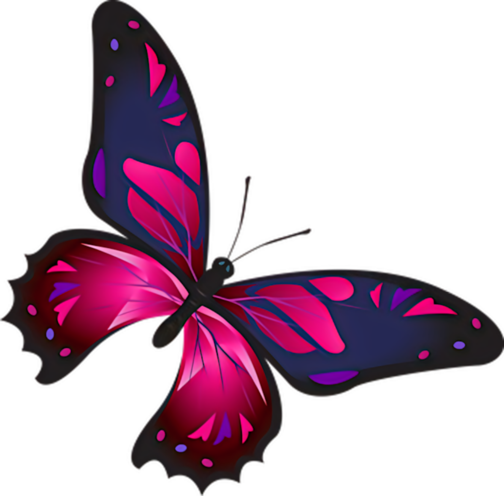 Vibrant Pink Butterfly Wallpaper with Bold Purple & Black Patterns