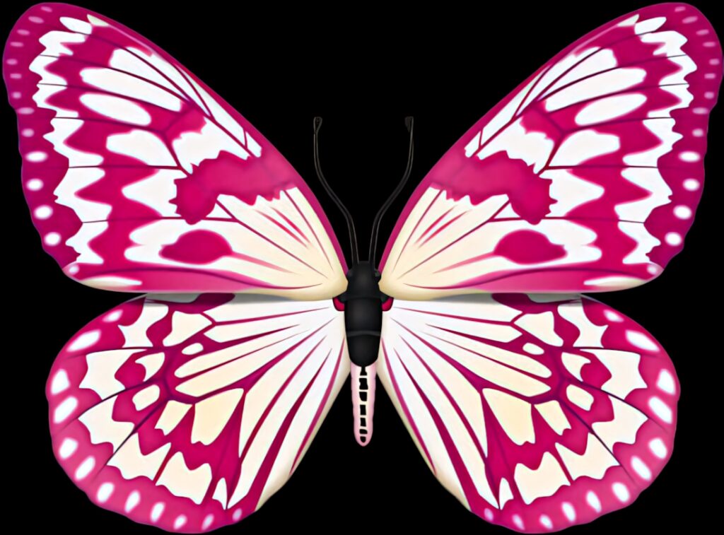 Vibrant Pink Butterfly Illustration on Black Wallpaper Background