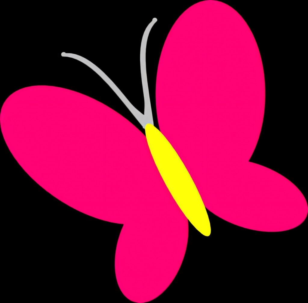 Vibrant Pink Butterfly with Yellow Body on Black Wallpaper Background