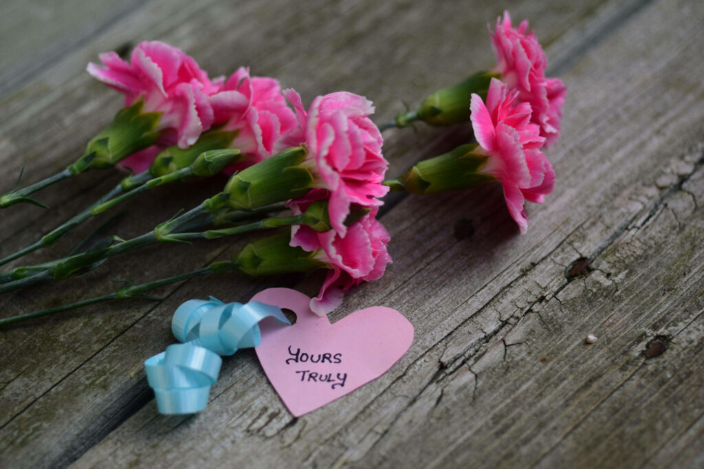 Vibrant Pink Carnations Wallpaper with Heartfelt Note & Blue Ribbon
