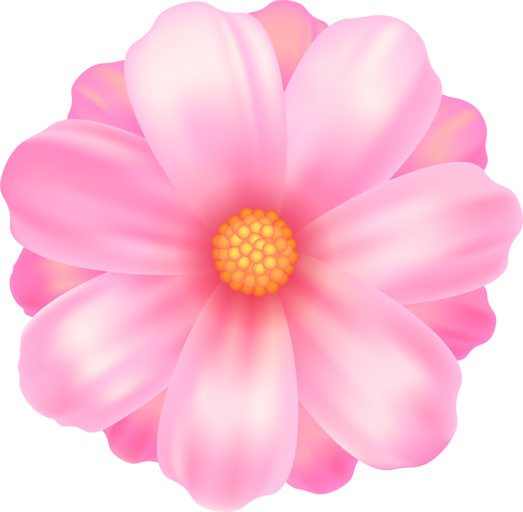 Vibrant Pink Daisy Wallpaper: Fresh & Cheerful Floral Background