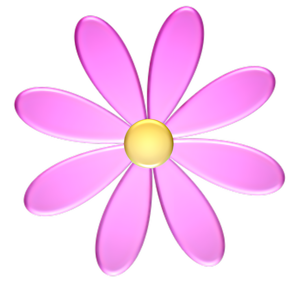 Vibrant Pink Daisy Wallpaper with Yellow Center - Cheerful Background