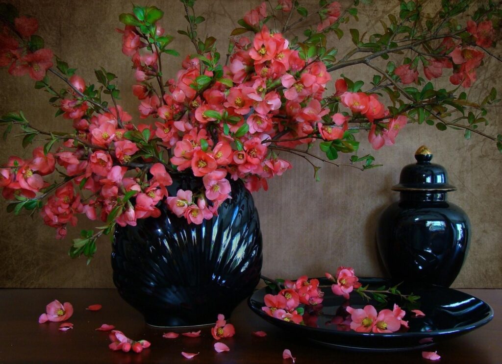 Vibrant Pink Flowers in Black Vase - Elegant Spring Wallpaper