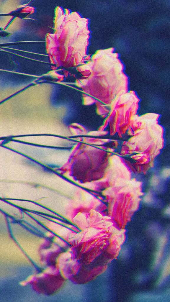 Dreamy Background of Vibrant Pink Flowers - Aesthetic Wallpaper