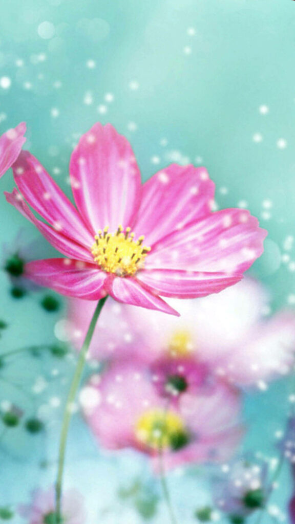 Vibrant Pink Flower iPhone Wallpaper - Serene Pastel Background