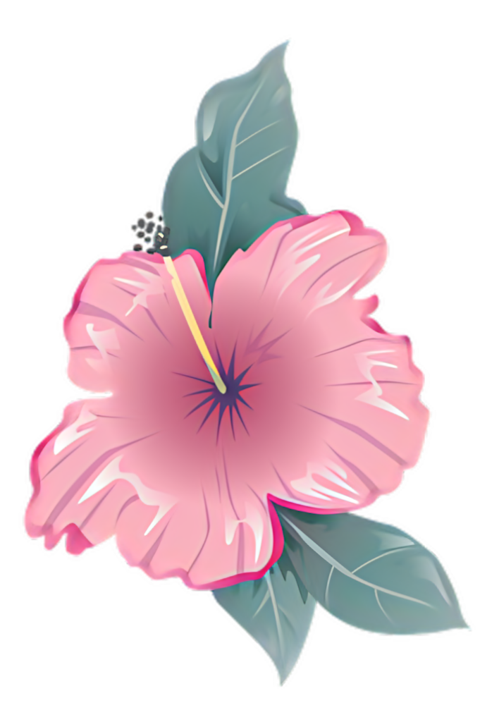 Vibrant Pink Hibiscus Wallpaper with Tropical Green Leaves Design
