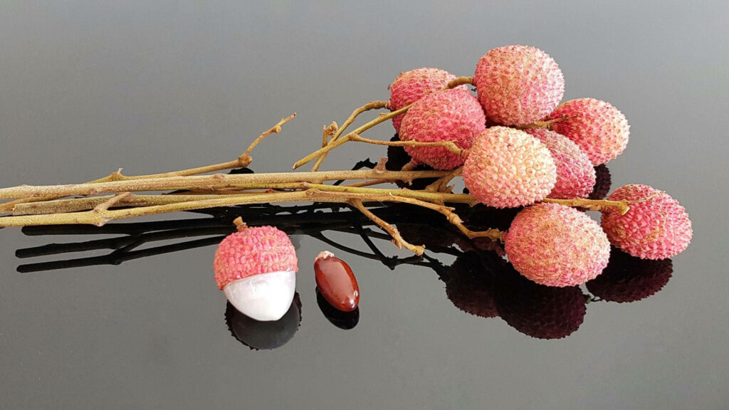 Vibrant Pink Lychee Wallpaper on Reflective Black Surface