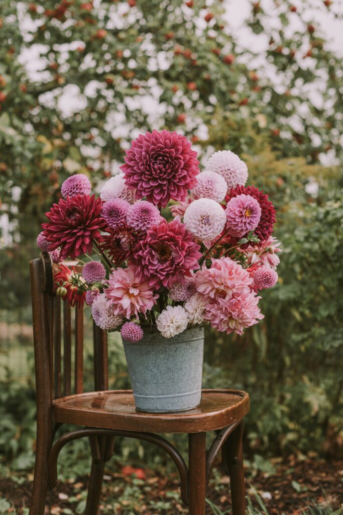 Vibrant Pink and Magenta Flower Bouquet in Rustic Pot Outdoors Wallpaper