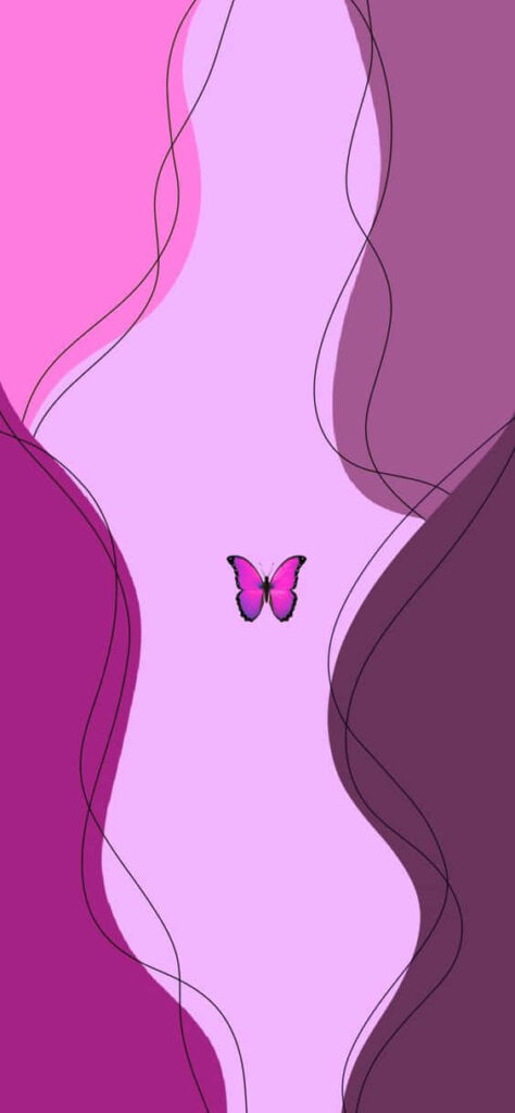 Vibrant Pink & Purple Butterfly Wallpaper with Elegant Abstract Background